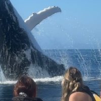 Luxury Tours