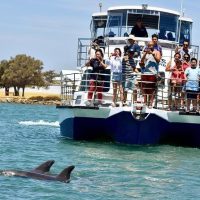 Cruises, Sailing & Water Tours