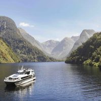 Bus & Minivan Tours