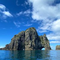 Boat Tours