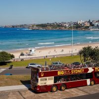 Tours & Sightseeing
