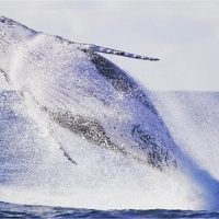 Photography Tours