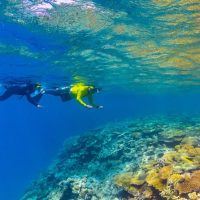 Scuba Diving