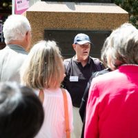 Cultural Tours