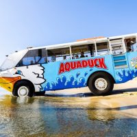 Luxury Tours