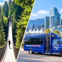 Bus & Minivan Tours