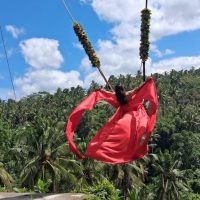 Private Sightseeing Tours