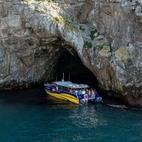 Walking & Biking Tours