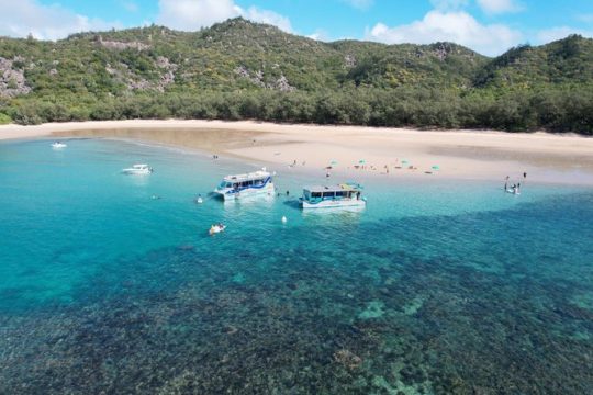 Valentine's Day in Magnetic Island