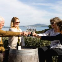 Tours & Sightseeing
