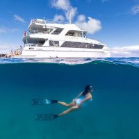Boat Tours