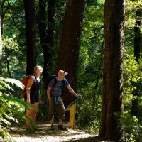 Hiking & Camping