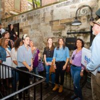Cultural Tours