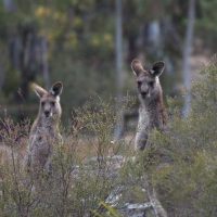 Full-day Tours