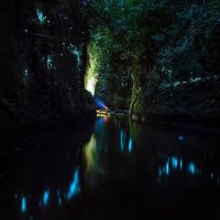 Half-day Tours