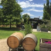 Full-day Tours