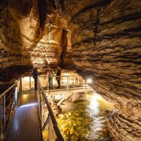 Luxury Tours