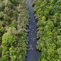 River Rafting & Tubing