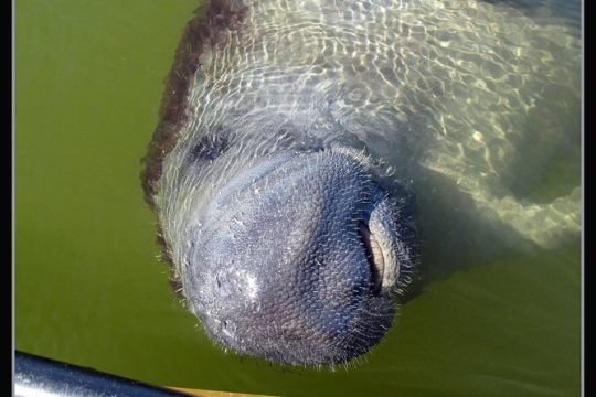 President's Day in Everglades National Park
