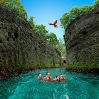 Cultural & Theme Tours