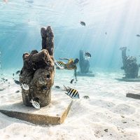 Cruises, Sailing & Water Tours