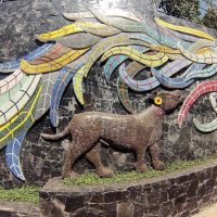 Half-day Tours