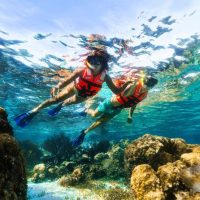 Snorkeling