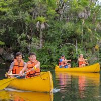 Private & Custom Tours