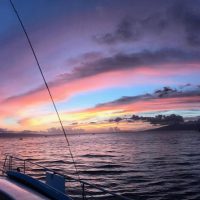 Catamaran Cruises