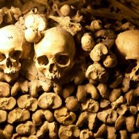 Holiday & Seasonal Tours