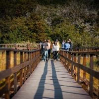 Eco Tours