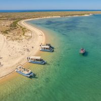 Port Transfers
