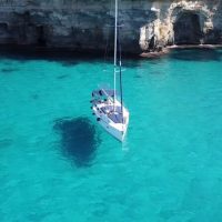 Shore Excursions