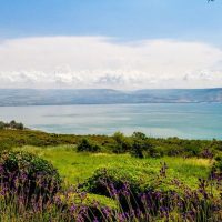 Private Sightseeing Tours