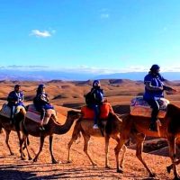 Hiking & Camping