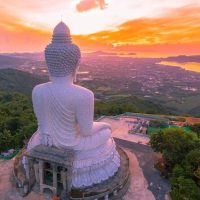 Half-day Tours