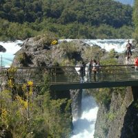 Full-day Tours
