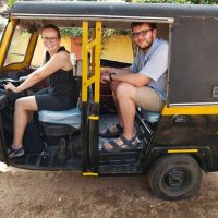 Bus & Minivan Tours