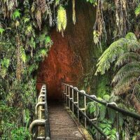 Ports of Call Tours