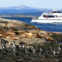 Catamaran Cruises