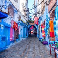 Full-day Tours