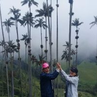 Bus & Minivan Tours
