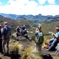 Full-day Tours