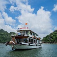 Bus & Minivan Tours