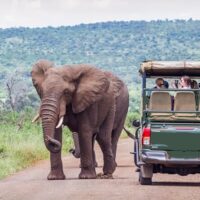 4WD, ATV & Off-Road Tours