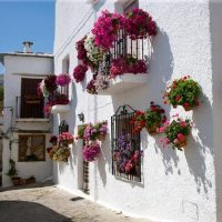 Day Trips & Excursions