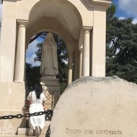 Ports of Call Tours