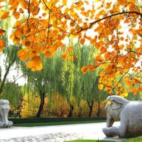 Private & Custom Tours