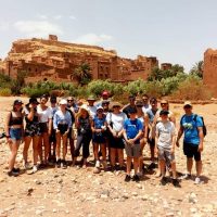Full-day Tours