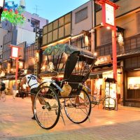 Private Sightseeing Tours